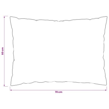 vidaXL Μαξιλάρι FULDA 2 τμχ. 60 x 70 cm 100% Πούπουλο και φτερό χήνας