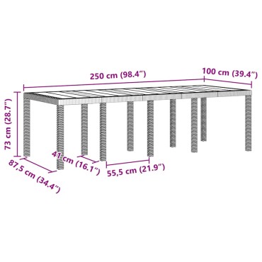 vidaXL Τραπέζι Κήπου Λευκό 250x100x73cm συνθετικό ρατάν 1 τεμ.