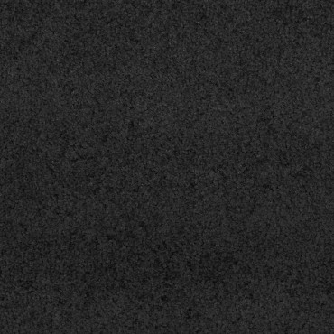 vidaXL Χαλάκι Εξώπορτας Άλλο Μαύρο 120 x 400 cm Πολυαμίδιο και PVC
