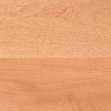 vidaXL Σκαλοπάτια 20 τεμ. 110 x 30 x 2 cm Βερνίκι Στερεό ξύλο οξιάς