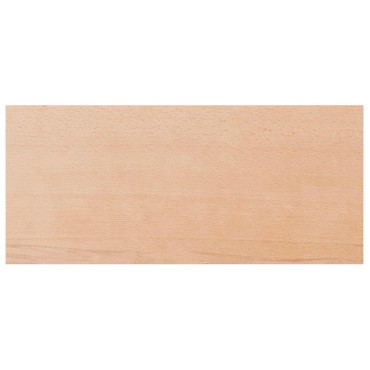 vidaXL Παράθυρα 2 τμχ. Φυσικό 100 x 40 x 2 cm Στερεό ξύλο οξιάς