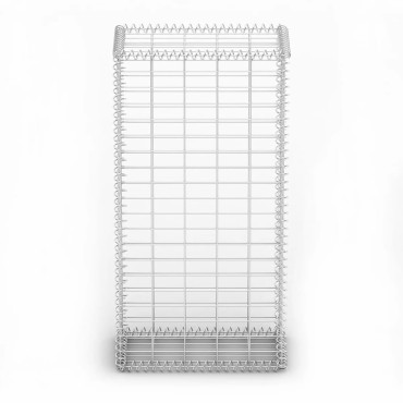vidaXL Συρματοκιβώτιο 100 x 50 x 30 εκ. Γαλβανισμένο Σύρμα με Καπάκια