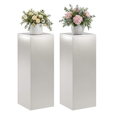 vidaXL Βάση φυτών 2 pcs Ασημί 30 x 30 x 80 cm Ατσάλι