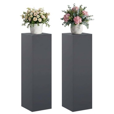 vidaXL Βάση φυτών 2 pcs Ανθρακί 30 x 30 x 100 εκ Γαλβανισμένος Χάλυβας
