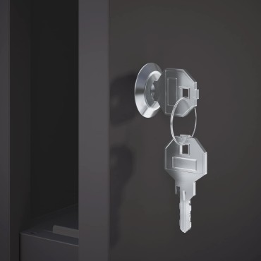 vidaXL γραμματοκιβώτιο Μαύρο 50 x 52 x 100 cm Ατσάλι