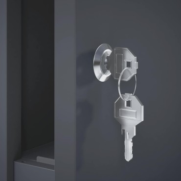 vidaXL γραμματοκιβώτιο Ανθρακί 50 x 52 x 100 cm Ατσάλι