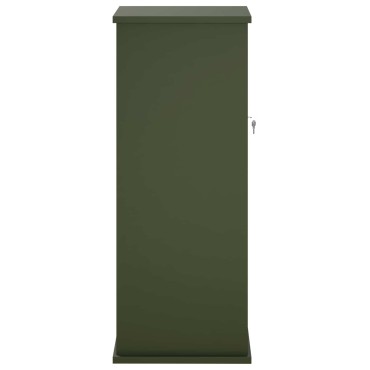 vidaXL γραμματοκιβώτιο Λαδί 40 x 40 x 100 cm Ατσάλι
