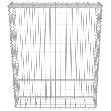 vidaXL Συρματοκιβώτιο Τοίχος 80x20x100cm Γαλβαν.Χάλυβας + Καλύμματα