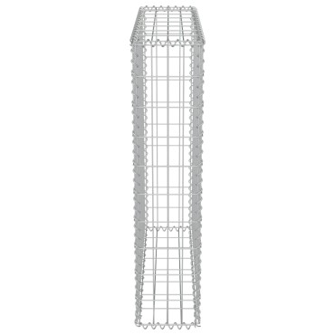 vidaXL Συρματοκιβώτιο Τοίχος 80x20x100cm Γαλβαν.Χάλυβας + Καλύμματα