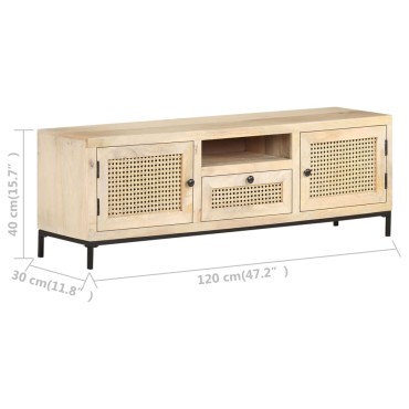 vidaXL Έπιπλο Τηλεόρασης 120x30x40cm Ξύλο Μάνγκο/Φυσικό Ζαχαροκάλαμο