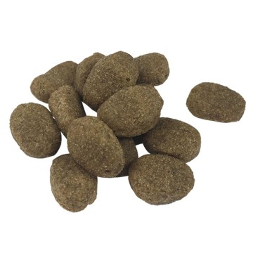 vidaXL Ξηρά Τροφή Σκύλων Premium Adult Sensitive Lamb & Rice 15 κ.