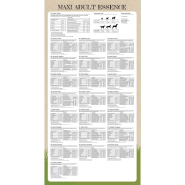vidaXL Ξηρά Τροφή Σκύλων Premium Maxi Adult Essence Beef & Chicken 15κ