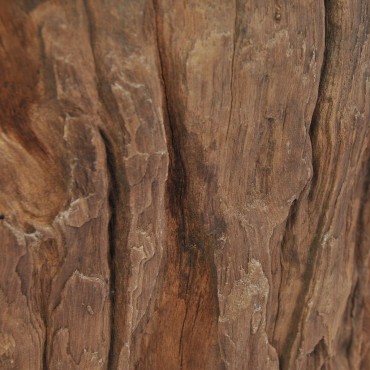 vidaXL Τραπεζάκι Σαλονιού 50x40cm από Ξύλο Teak / Γυαλί 1 τεμ.