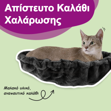 vidaXL Γατόδεντρο Σκούρο Γκρι 104 εκ. με Στύλους Ξυσίματος από Σιζάλ