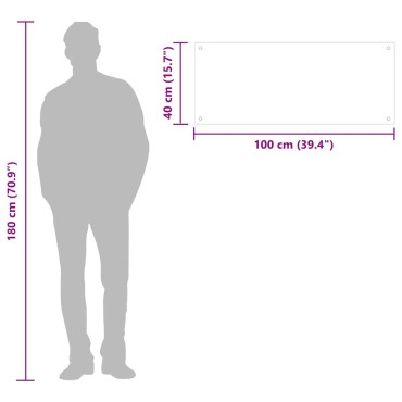 vidaXL Πλάτη Κουζίνας Διαφανής 100 x 40 εκ. από Ψημένο Γυαλί