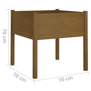 vidaXL Ζαρντινιέρες 2 τεμ. Μελί 70 x 70 x 70 εκ. από Μασίφ Ξύλο Πεύκου