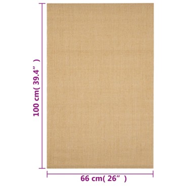 vidaXL Χαλί 66x100cm από Φυσικό Σιζάλ