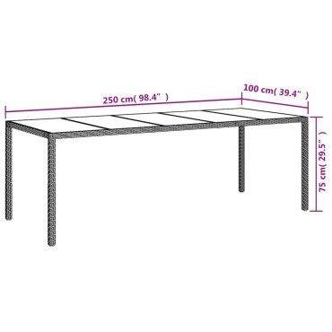 vidaXL Τραπέζι Κήπου Γκρι 250x100x75cm Ψημένο Γυαλί/Συνθετικό Ρατάν 1 τεμ.