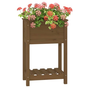 vidaXL Ζαρντινιέρα με Ράφι Μελί 54x34,5x81 εκ. από Μασίφ Ξύλο Πεύκου