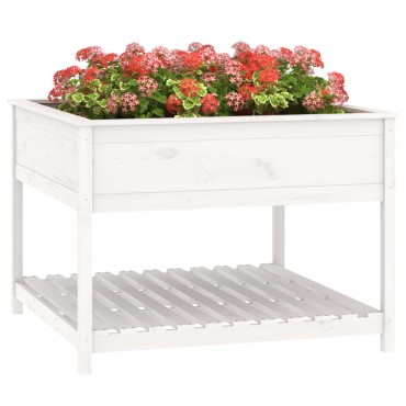 vidaXL Ζαρντινιέρα με Ράφι Λευκή 111,5x111,5x81 εκ. Μασίφ Ξύλο Πεύκου