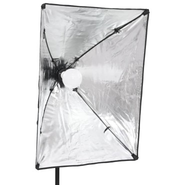 vidaXL Φωτιστικά Studio Επαγγελματικά 2 τεμ. 40 x 60 εκ.