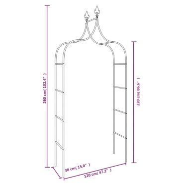 vidaXL Καμάρες Κήπου 2 τεμ. Μαύρες 120 x 38 x 260 εκ. από Ατσάλι