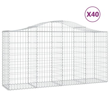 vidaXL Συρματοκιβώτια Τοξωτά 40 τεμ. 200x50x100/120 εκ. Γαλβαν. Ατσάλι