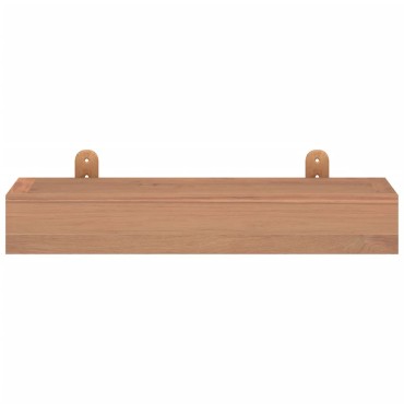 vidaXL Ράφια Τοίχου 2 τεμ. 40x15x6cm από Μασίφ Ξύλο Teak