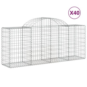 vidaXL Συρματοκιβώτια Τοξωτά 40 τεμ. 200x50x80/100 εκ. Γαλβαν. Ατσάλι