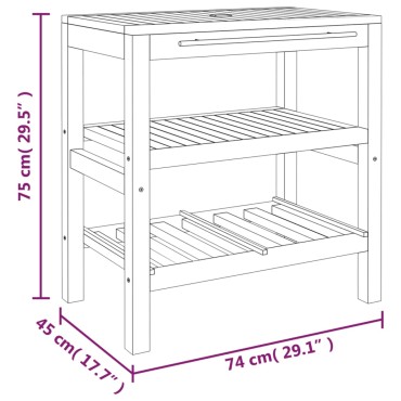 vidaXL Έπιπλο Μπάνιου με 2 Ράφια 74x45x75cm από Μασίφ Ξύλο 1 τεμ.