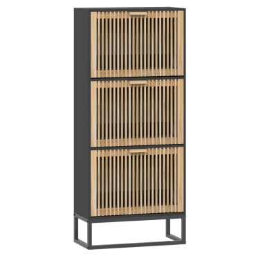 vidaXL Παπουτσοθήκη Μαύρη 52x25x120cm από Επεξεργασμένο Ξύλο