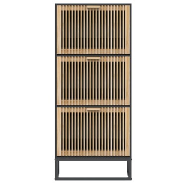 vidaXL Παπουτσοθήκη Μαύρη 52x25x120cm από Επεξεργασμένο Ξύλο