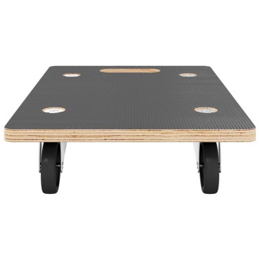vidaXL Τρέιλερ Μεταφοράς 2 Τεμ. Ορθογώνια 50x35x11,5 εκ. 250 κ.