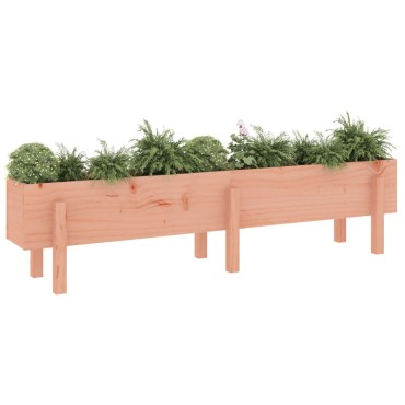 vidaXL Ζαρντινιέρα Υπερυψωμένη 160x30x38 εκ. Μασίφ Ξύλο Ψευδοτσούγκας