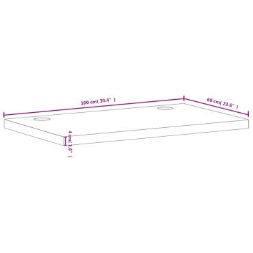 vidaXL Επιφάνεια Γραφείου 100x60x4 εκ. από Μασίφ Ξύλο Οξιάς