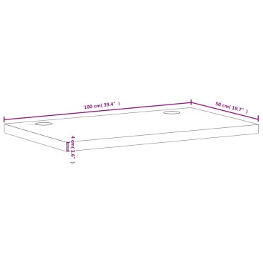 vidaXL Επιφάνεια Γραφείου 100x50x4 εκ. από Μασίφ Ξύλο Οξιάς