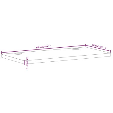 vidaXL Επιφάνεια Γραφείου 100x50x2,5 εκ. από Μασίφ Ξύλο Οξιάς