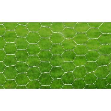 vidaXL Συρματόπλεγμα Κοτετσόσυρμα Ασημί 25x0,5 μ. Γαλβαν. Ατσάλι