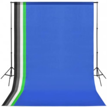 vidaXL Κιτ Φωτογραφικού Στούντιο με Softbox, Φόντο & Ανακλαστήρα