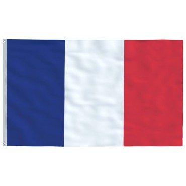 vidaXL Σημαία Γαλλίας 90 x 150 εκ.