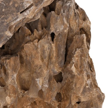 vidaXL Πέτρες Dragon Stones Διάφορα Χρώματα 10 κιλά 10-30 εκ.