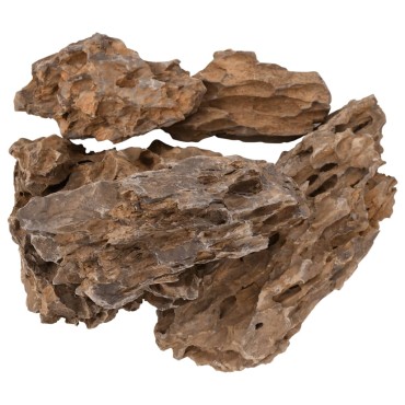 vidaXL Πέτρες Dragon Stones Διάφορα Χρώματα 10 κιλά 10-30 εκ.
