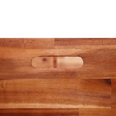 vidaXL Ζαρντινιέρα Υπερυψωμένη 100 x 50 x 50 εκ. από Ξύλο Ακακίας