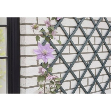 Nature Καφασωτό Κήπου Ανθρακί 50 x 150 εκ. από PVC