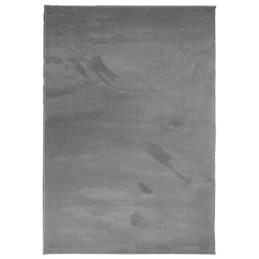 vidaXL Χαλί OVIEDO με Κοντό Πέλος Ανθρακί 200x280cm