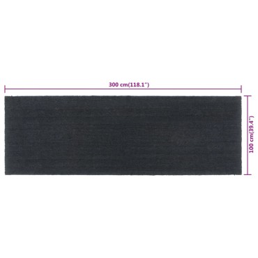 vidaXL Πατάκι Εισόδου Σκούρο Γκρι 100 x 300 εκ. Θυσανωτός Κοκοφοίνικας