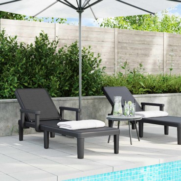 vidaXL Ξαπλώστρα Ρυθμιζόμενη σε 4 Ύψη 155,5x57x28cm Πολυπροπυλένιο 1 τεμ.