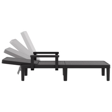 vidaXL Ξαπλώστρα Ρυθμιζόμενη σε 4 Ύψη 155,5x57x28cm Πολυπροπυλένιο 1 τεμ.