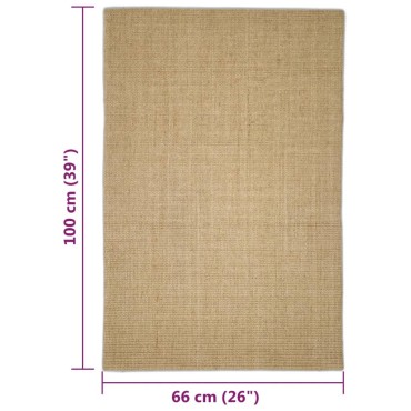 vidaXL Χαλί Σιζάλ για Ονυχοδρόμιο 66x100 εκ.