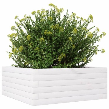 vidaXL Ζαρντινιέρα Λευκή 60x60x23 εκ. από Μασίφ Ξύλο Πεύκου